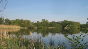 Havel (Quelle: Wikipedia)