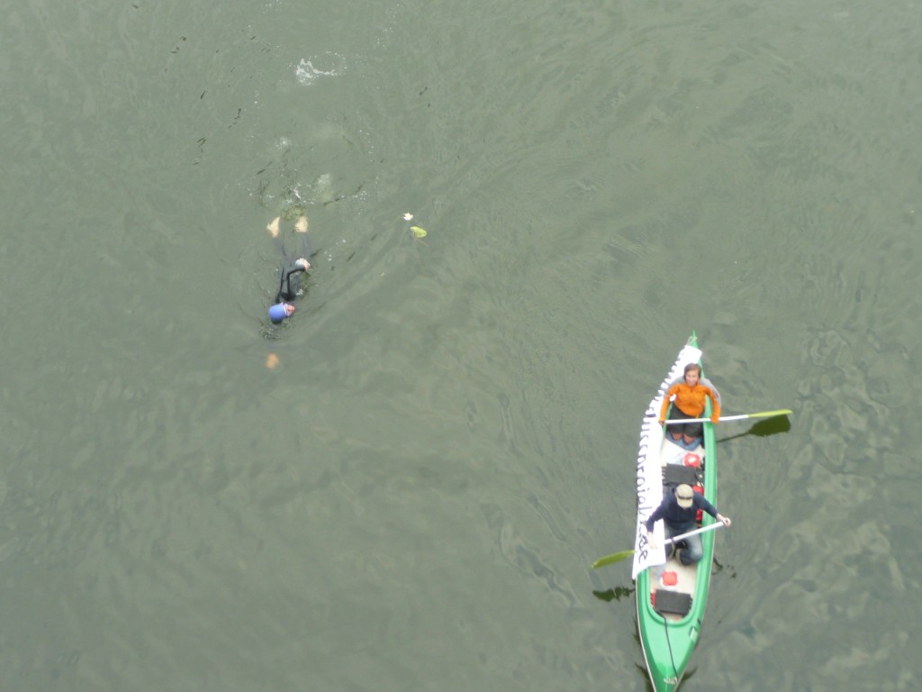 Mosel 2